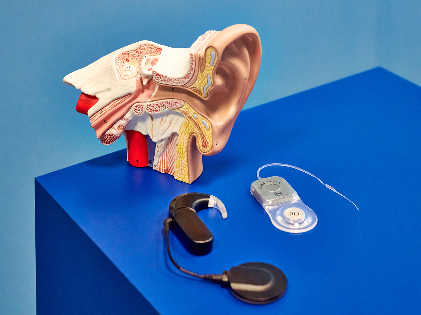 Modell eines menschlichen Ohres neben einem Hörgerät und einem Cochlea-Implantat auf einem blauen Tisch.