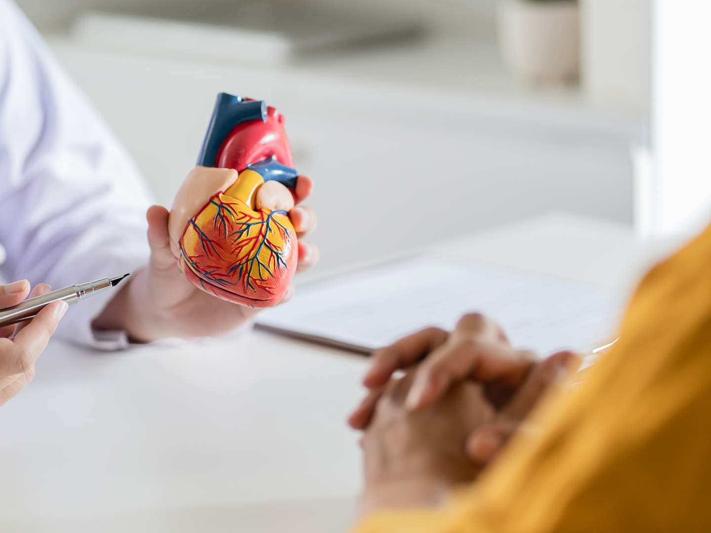 Ein Arzt hält ein anatomisches Modell eines Herzens in der Hand, während eine Person ihm mit verschränkten Händen zuhört.